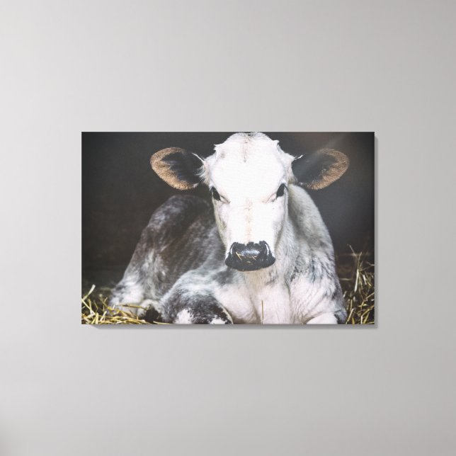 Lienzo Crop de día ocupado (Anverso)