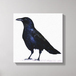 Lienzo Crow