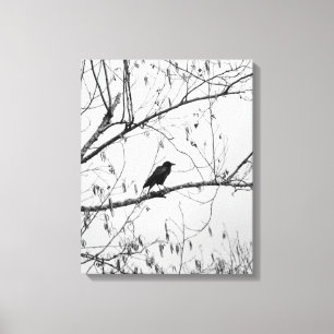 Lienzo Crow en un árbol de aves