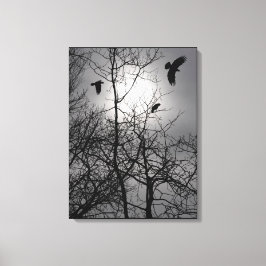 Lienzo Crows Sunlight Tree Brands Silhouette Landscape