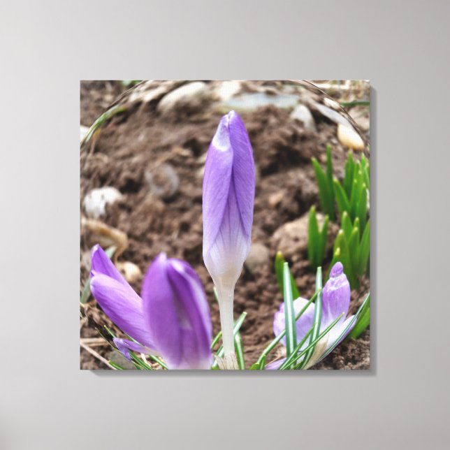 Lienzo Cruces de primavera (Anverso)