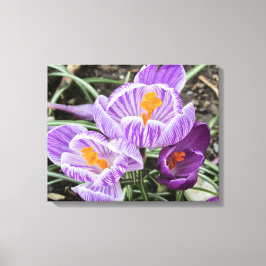 Lienzo Cruces de Primavera Púrpura.