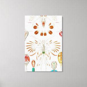 Lienzo Crustáceos de la vida marina, Copepoda por Ernst H