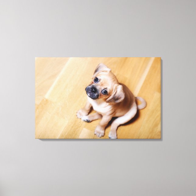 Lienzo Cruz Pug Cavalier King Charles Spaniel (Anverso)