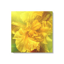 Lienzo cuadrado de belleza interior Iris (amarillo