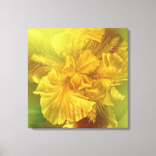 Lienzo cuadrado de belleza interior Iris (amarillo (Anverso)