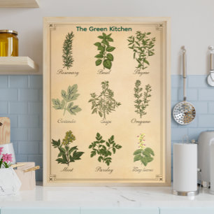 Lienzo Cuadro de hierbas vintage botánico para la cocina