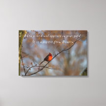 Cuando aparece un cardenal en la fotografía de su 