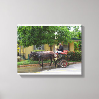 Lienzo Cuba Horse Drake Cart