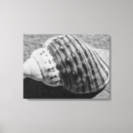 Lienzo Cubierta oceánica monocromática en blanco y negro