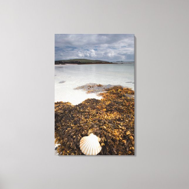 Lienzo Cubierta Y Algas marinas | Isla De Barra, Escocia (Anverso)