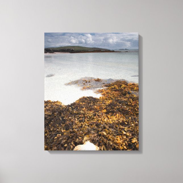 Lienzo Cubierta Y Algas marinas | Isla De Barra, Escocia (Anverso)