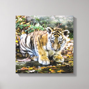 Lienzo Cubo Adorable del tigre del bebé