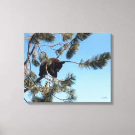 Lienzo Cubo de oso durmiente