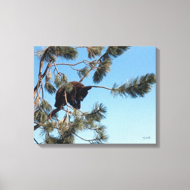 Lienzo Cubo de oso durmiente (Anverso)