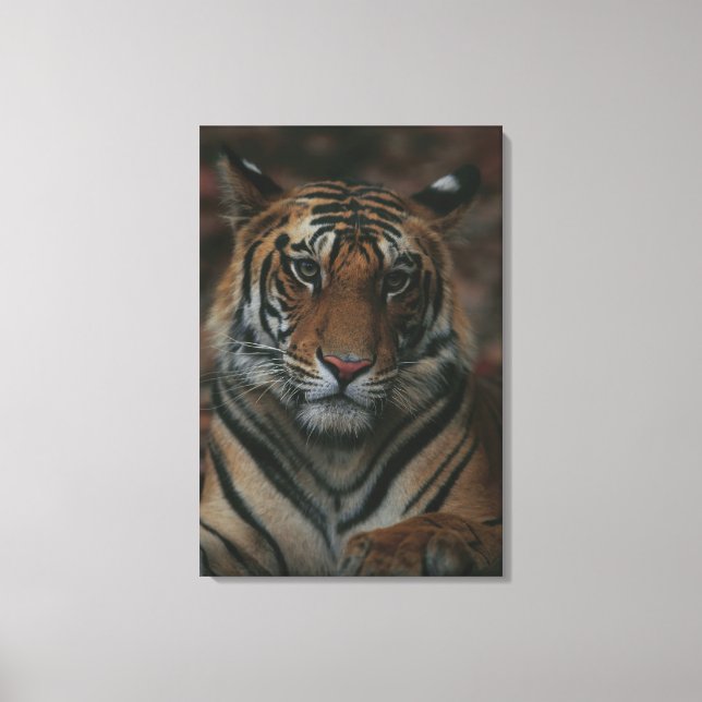 Lienzo Cubo de tigre (Anverso)