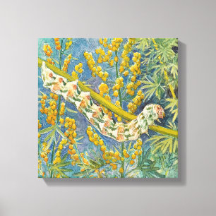 Lienzo Cucullia Absinthii Wormwood Caterpillar