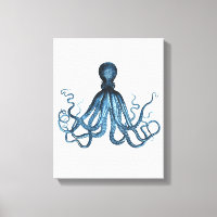 Cuenca costera azul Octopus kraken