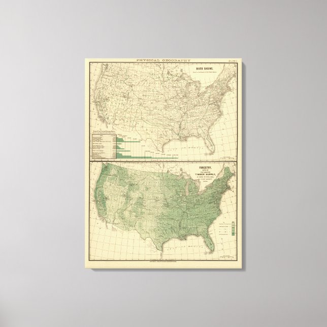 Lienzo Cuencas fluviales, silvicultura (Anverso)