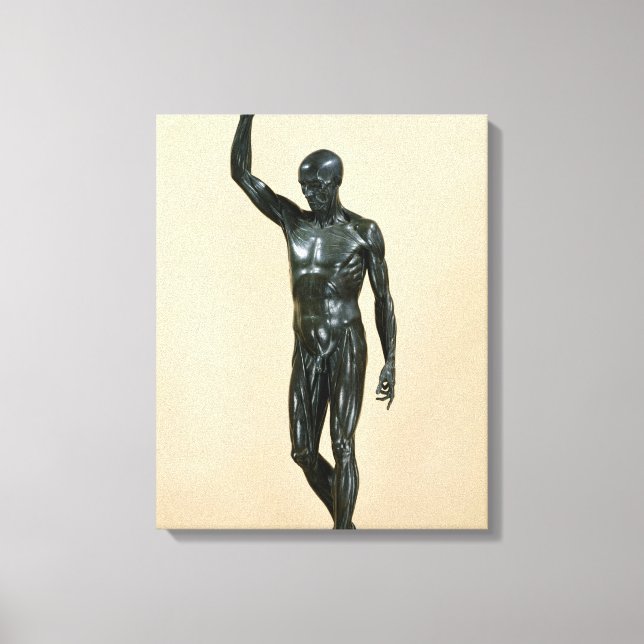 Lienzo Cuerpo volado (Anverso)