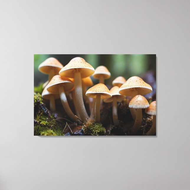 Lienzo Cultivando champiñones en el bosque (Anverso)