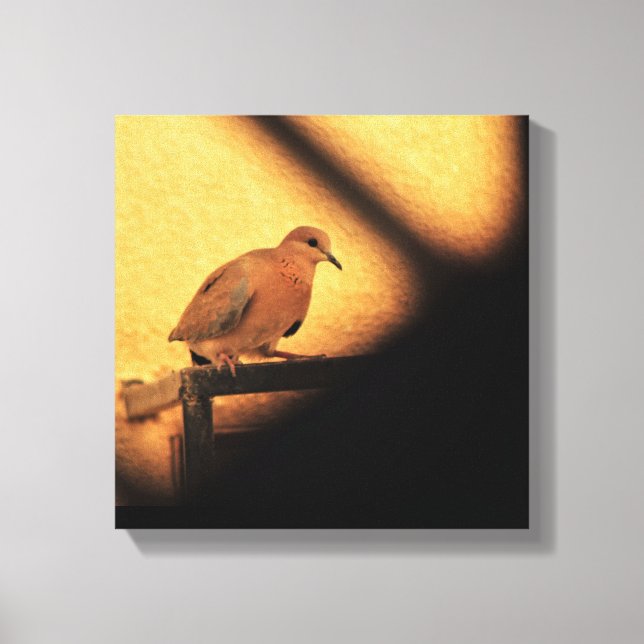 Lienzo Curiosidad (Anverso)