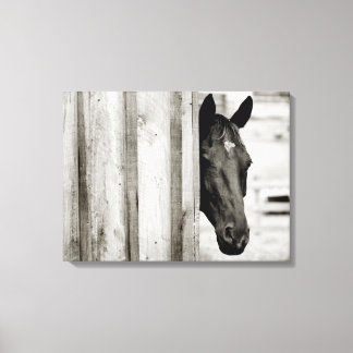 Lienzo Curioso caballo negro