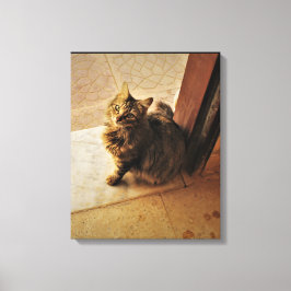 Lienzo Curioso portátil Kitty