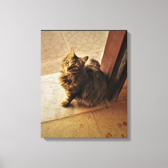 Lienzo Curioso portátil Kitty (Anverso)