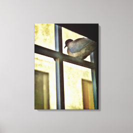 Lienzo Curious Dove