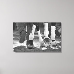 Lienzo Curso-Paso histórico de la raza de Saratoga Niza