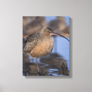 Lienzo curtido de larga factura