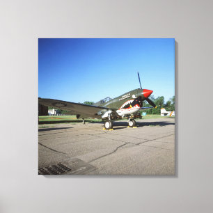 Lienzo Curtiss P-40 Warhawk, en Minnesota CAF Air Show
