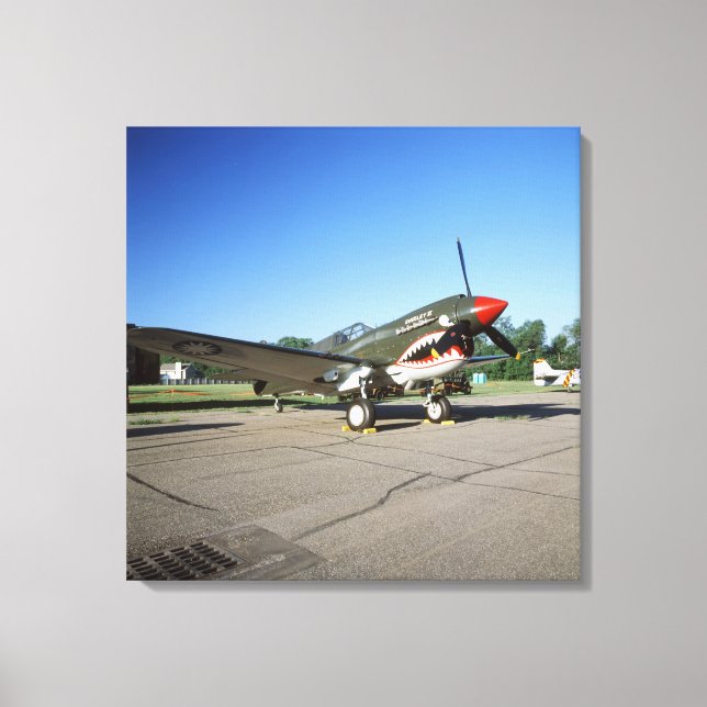 Lienzo Curtiss P-40 Warhawk, en Minnesota CAF Air Show (Anverso)