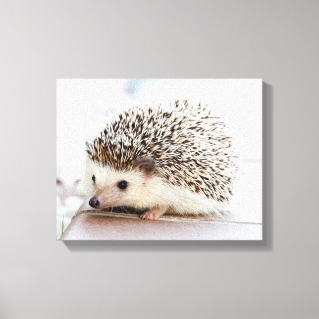 Lienzo Cute Baby Hedgehog (Anverso)