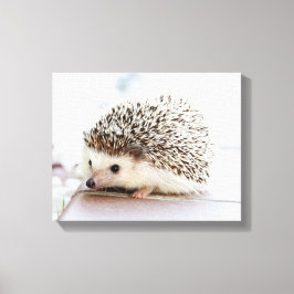 Lienzo Cute Baby Hedgehog