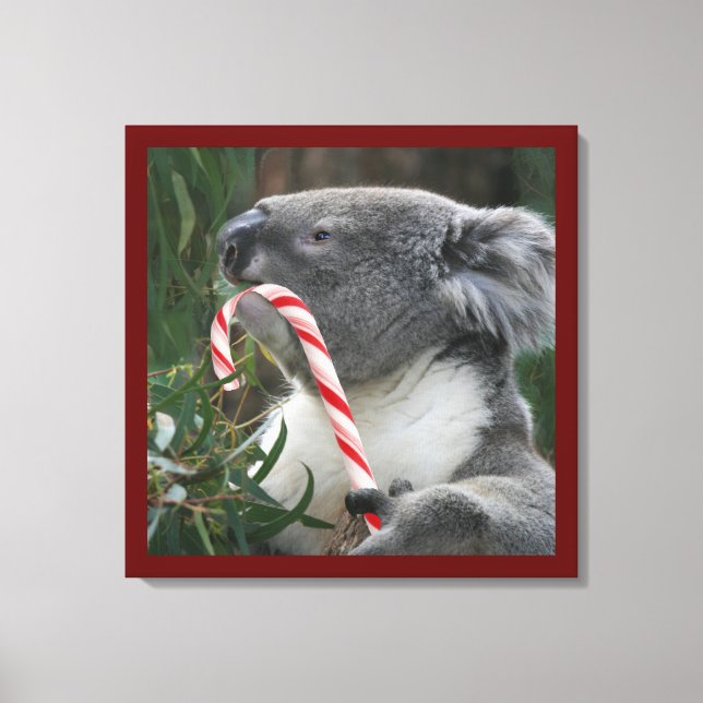 Lienzo Cute Koala Comiendo Candy Cane (Anverso)