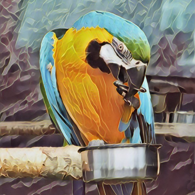 LIENZO CUTE MACAW (An art design of a cute macaw.)