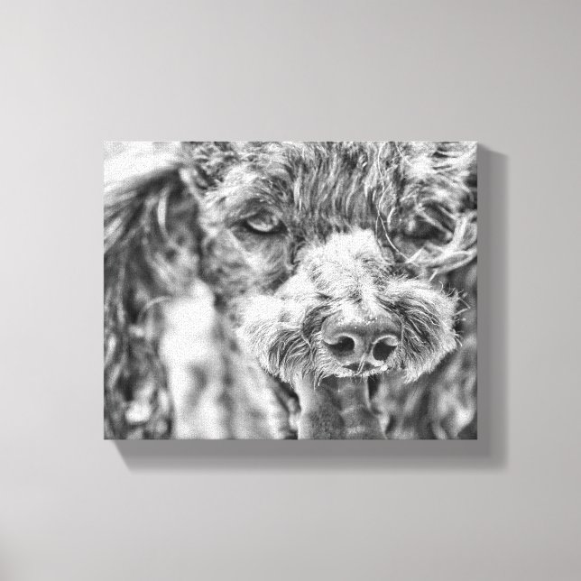 Lienzo Cute Poodle Dog Face Eyes Tongue (Anverso)