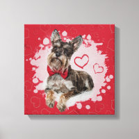 Cute Schnauzer sobre el patrón del corazón