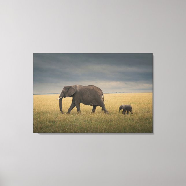 Lienzo Cutest Baby Animals | African Elephant Family (Anverso)