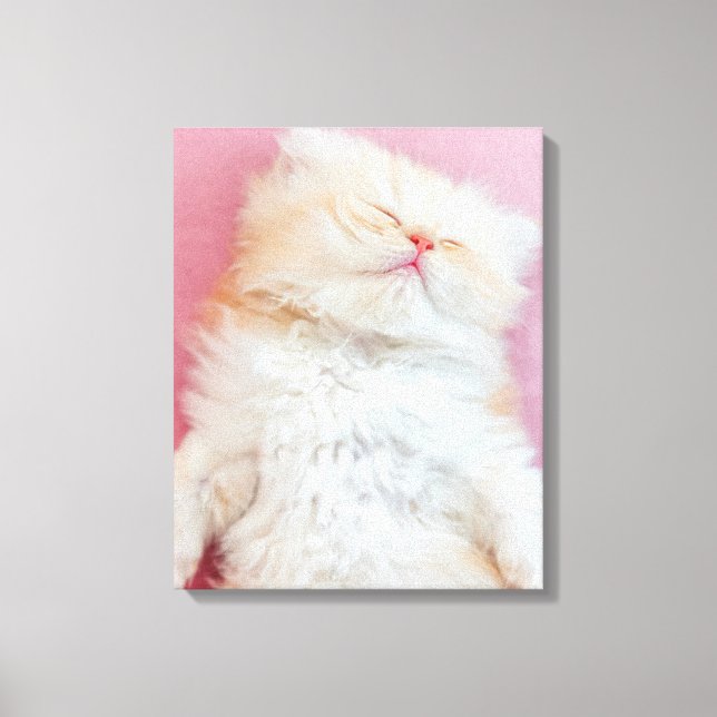 Lienzo Cutest Baby Animals | Lovely Kitten Sleeping (Anverso)