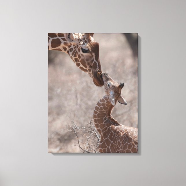 Lienzo Cutest Baby Animals | Mother and Baby Giraffe (Anverso)