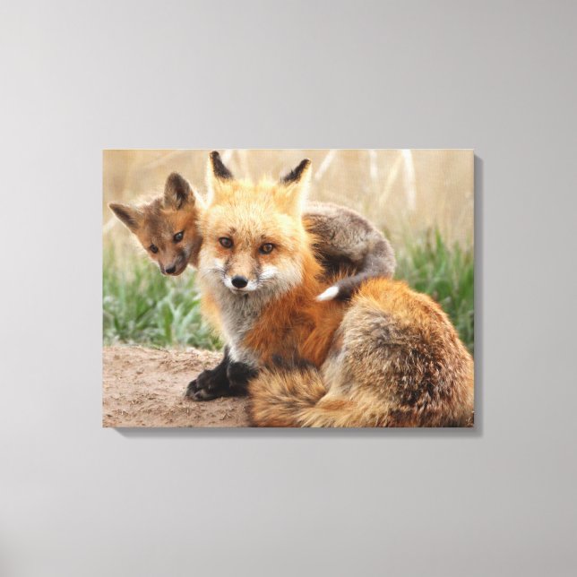 Lienzo Cutest Baby Animals | Red Fox & Baby (Anverso)
