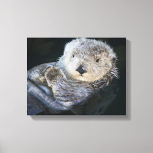 Lienzo Cutest Baby Animals   Sea Otter Floating