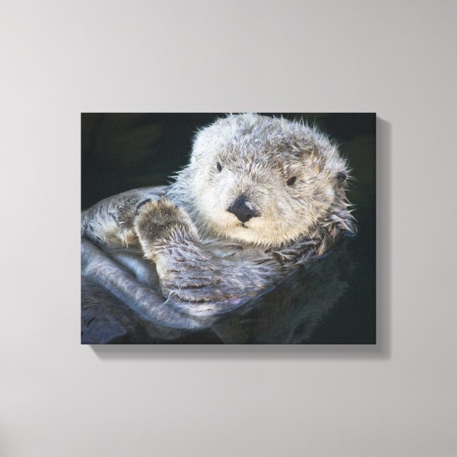 Lienzo Cutest Baby Animals | Sea Otter Floating (Anverso)