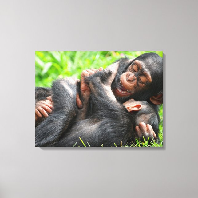 Lienzo Cutest Baby Animals | Two Young Chimpanzees (Anverso)