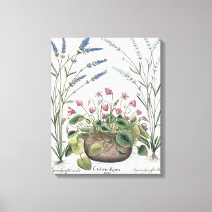 Lienzo Cyclamen y lavanda: 1.Cyclamen Romanum; 2.Spica