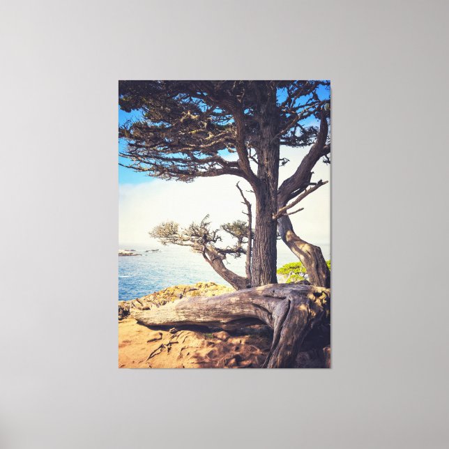 Lienzo Cypress en el mar (Anverso)