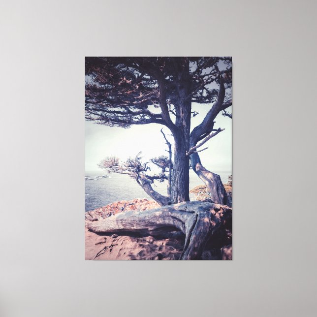 Lienzo Cypress en el mar (Anverso)